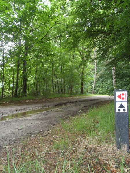 The IMBA signs on the right clearly shows the split coming up (about 30 meters ahead).