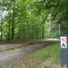 The IMBA signs on the right clearly shows the split coming up (about 30 meters ahead).