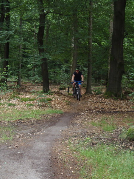 Coming out of a piece of fast forest singletrack, into a clearing.