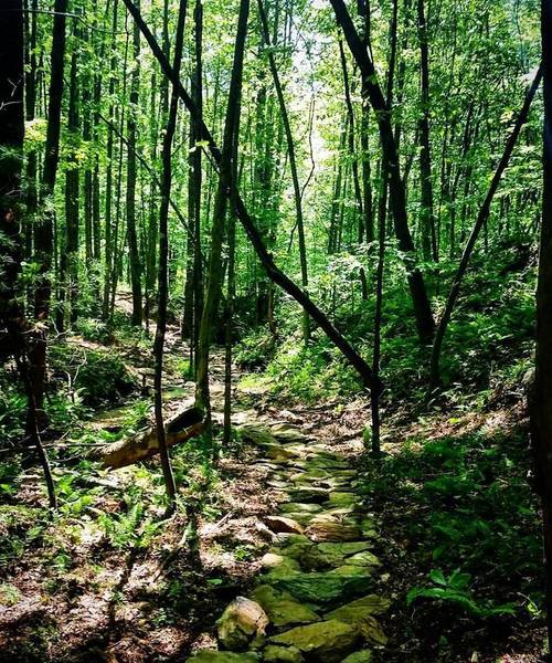 One of the beautiful rock gardens in the last mile