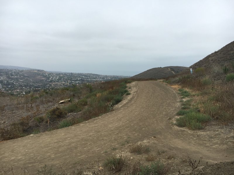 A short climb up Harbor View yields better and better views.