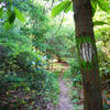 Toward end of the trail. Green White Dot Connector.