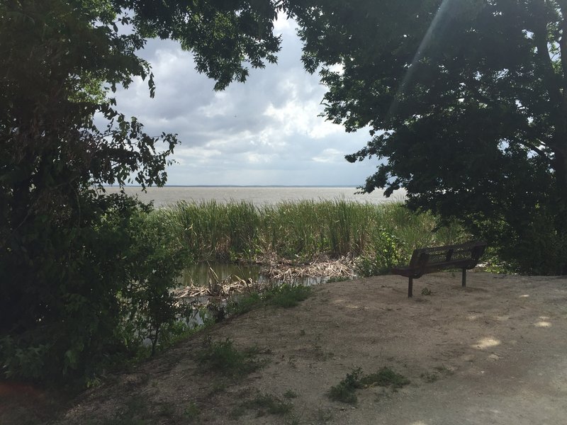 Nice shady bench on Lake Apopka Loop Trail