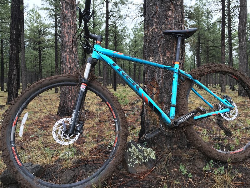 Sure, I choose to ride in Arizona the one week ever where it rains every day!