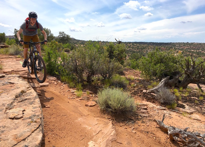 Many rock drops and grade changes make this a fun-filled route.