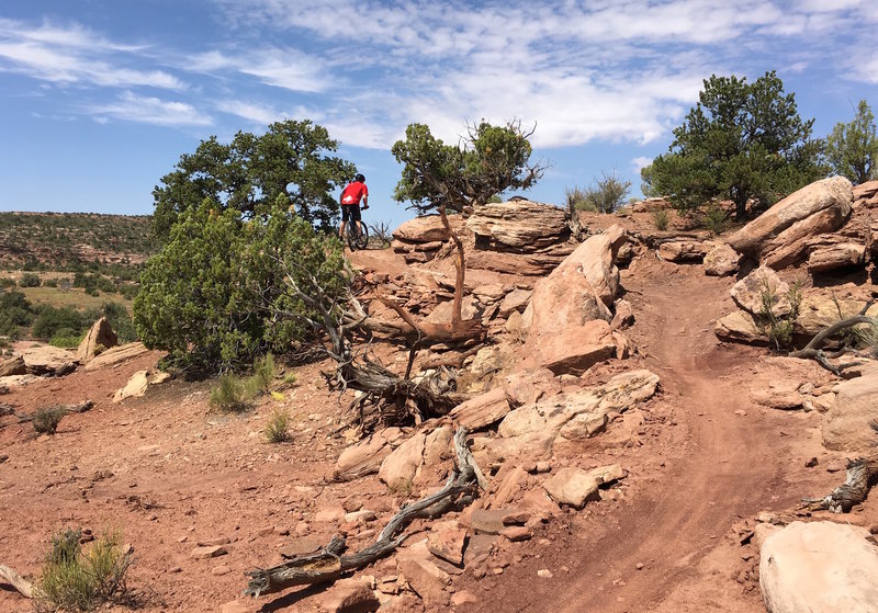 Trail follows the edges of canyons where possible.