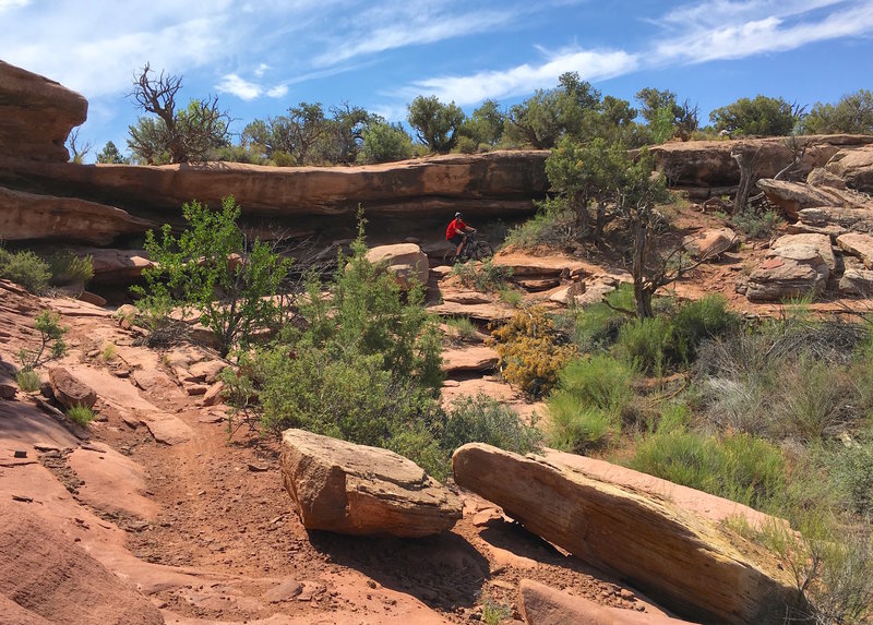 Constant traversing between canyon and rock ledges.