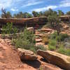 Constant traversing between canyon and rock ledges.