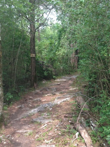 Mile 3 Sign and some more technical trail.