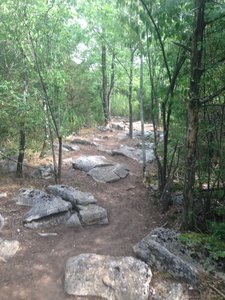 Shutes branch mountain sales bike trail