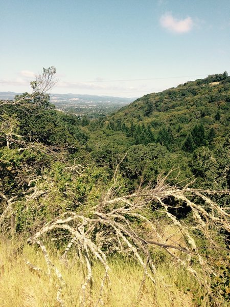 The view at S. Ridge and Canyon. The overlook is just to the right outside the picture.