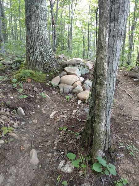 New trail work on Dirt Lip provides more b-routes.