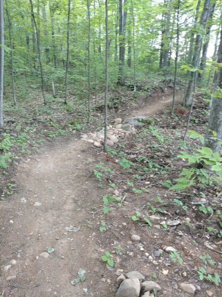 There are many small rock gardens for stream crossings.