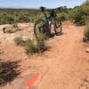 Great views as the trail winds through the Pinion Pines.