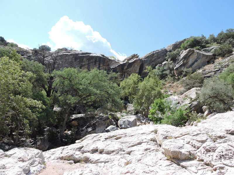 Chiva Falls. Lots of greenery and growth from recent rains.