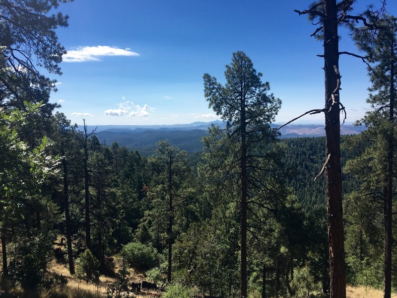 Astonishing view looking to the West of Black Mountain with the mine and Cookes Peak in the distance!