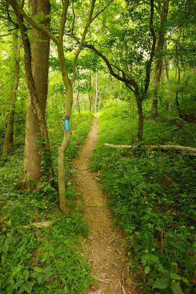 drops out to the park access road. Quick and dry today.