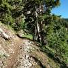 The last half-mile to Lost Lake coming from the south.