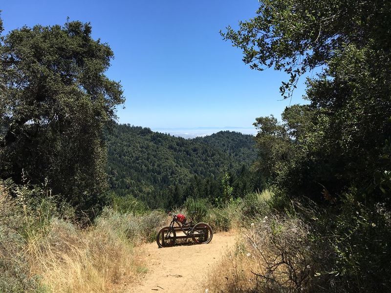 Top of Ridge Trail.