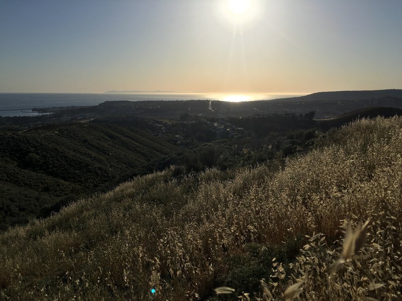 Looking west to the Ocean.