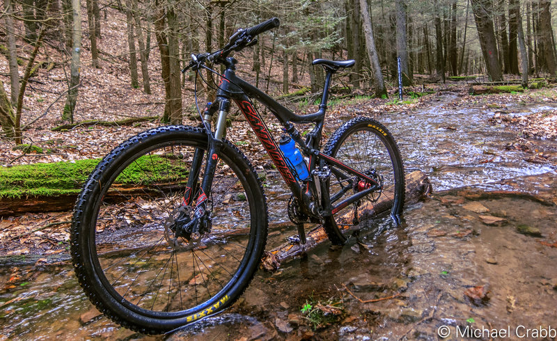 Black Gap Trail at Fredricks Gap