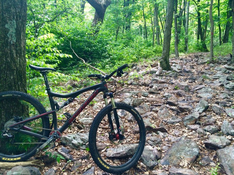 Rock garden at the end of Top Mountain Trail.