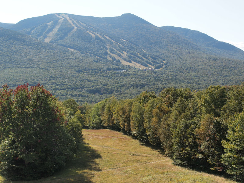 Mt. Tecumseh ski area.