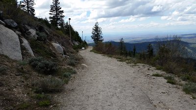 Trail views.
