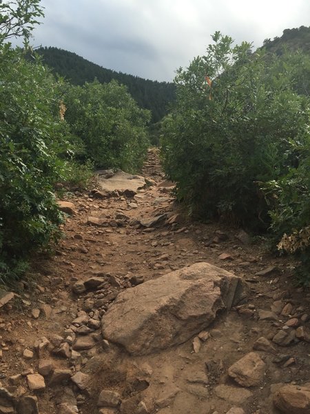 More rocks, but not a bad climb.