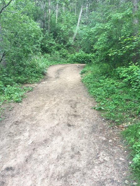 It took a little while, but finally a smoother trail.