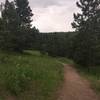 Once you get on the Red Mesa Trail, it becomes some nice singletrack.