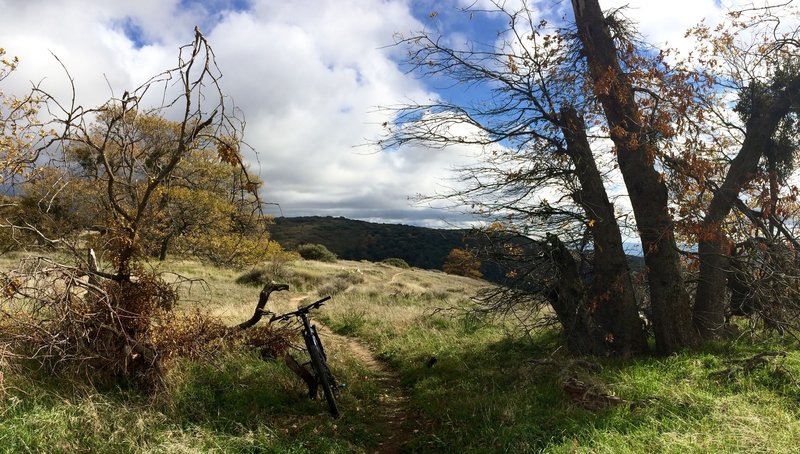 Highly recommended when the hills are green after the first couple of rains in the fall or in the spring.