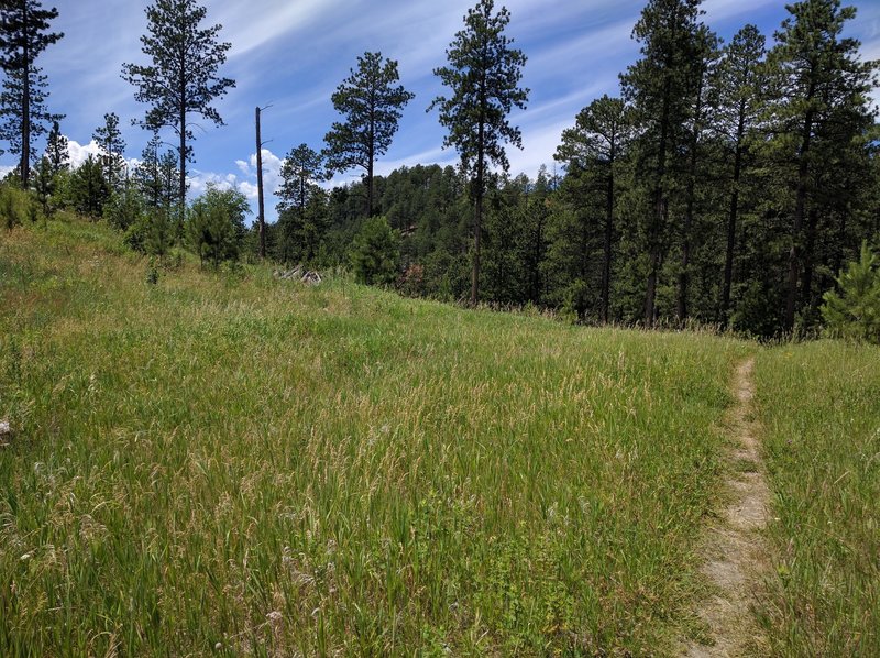 Beautiful views and lightly-used singletrack waiting for you!