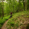 Nice open downhill section of the Orange Trail.