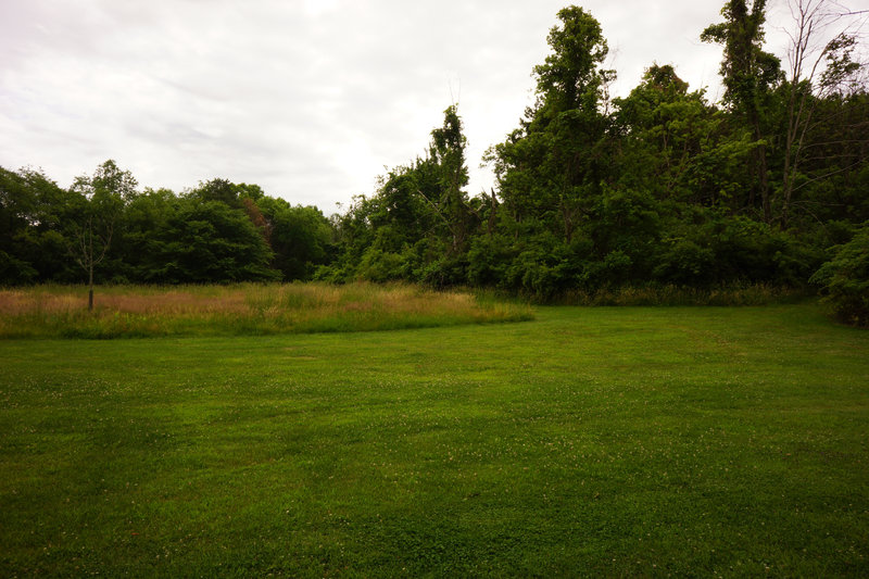 Keep an eye out for this field. It is how you'll connect to the Orange and Purple Trails.