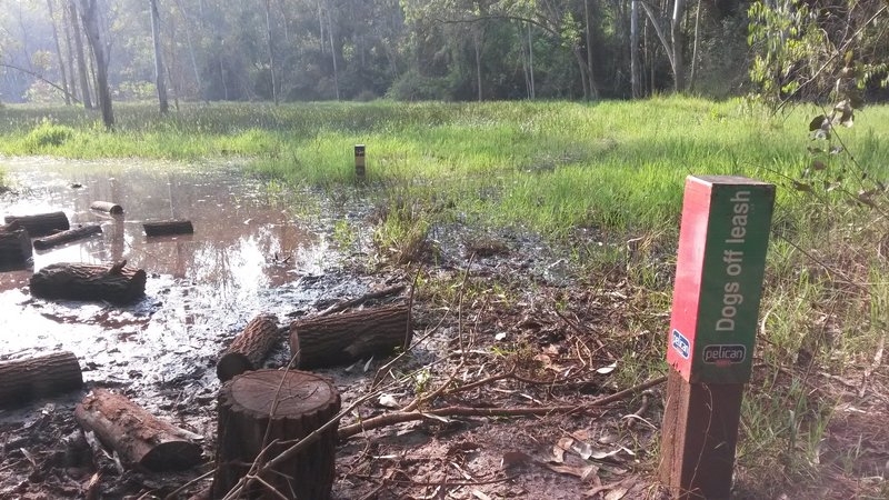 Trail can be under water during the rains.