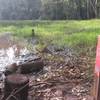 Trail can be under water during the rains.