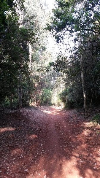 During the rainy season, the trails becomes really muddy. Pic shows when dry.