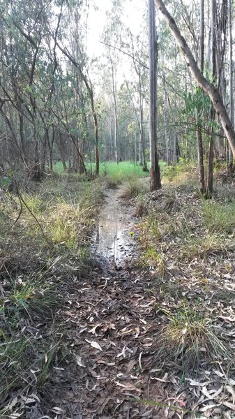 Trails can be under water during the wet season.