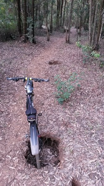 Watch out for holes along this trail.