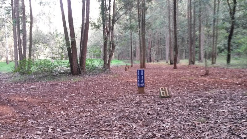 Trail can be under water during the wet season.