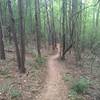 About a third of the way through the trail, just past the first power-line area.