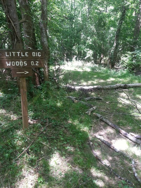 Connector to 100 Acre Woods Trail.