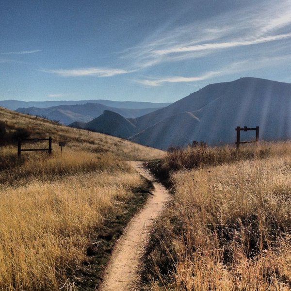 Trail view.