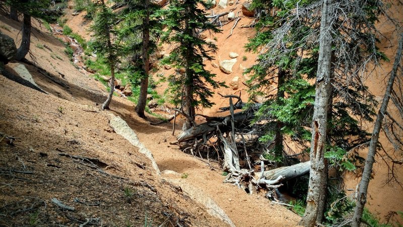 One of many creek crossings.