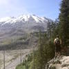 Mt. St. Helens.