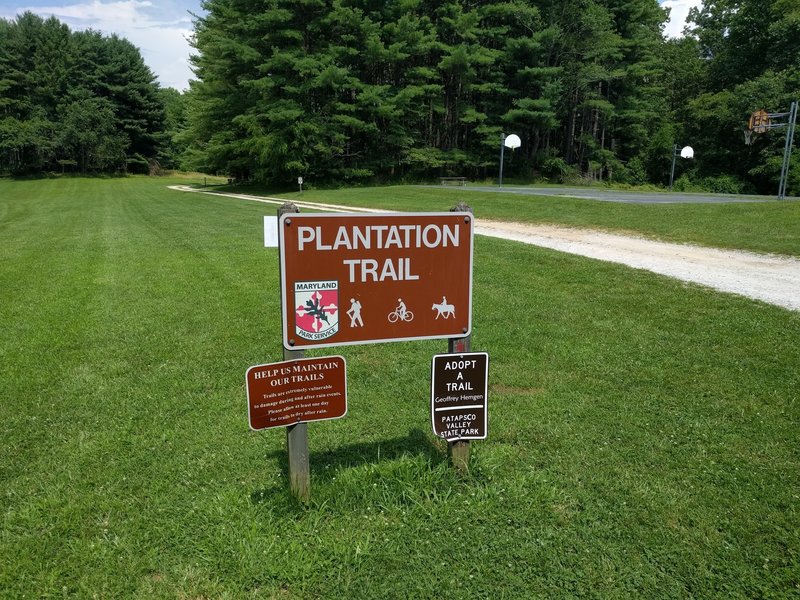 Entrance to the Plantation Trail from the parking lot.