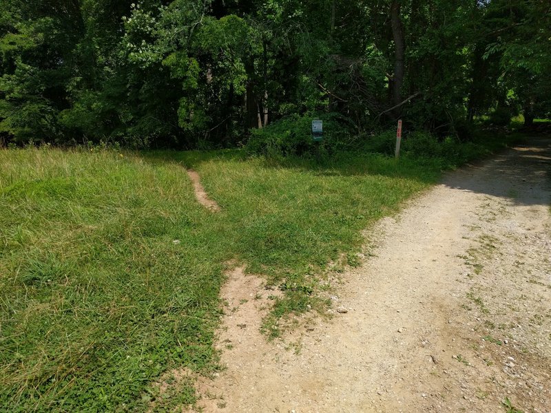 First fork in trail. Veer left for easier ride using the loop.
