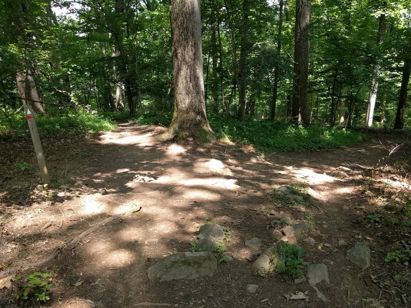 Second fork in Plantation Trail. Veer right to stay on Plantation. Notice post on the left.