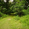 Hang a right off and stay straight downhill to skip portions of the overgrown White Trail.